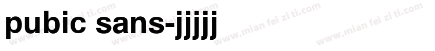 pubic sans字体转换